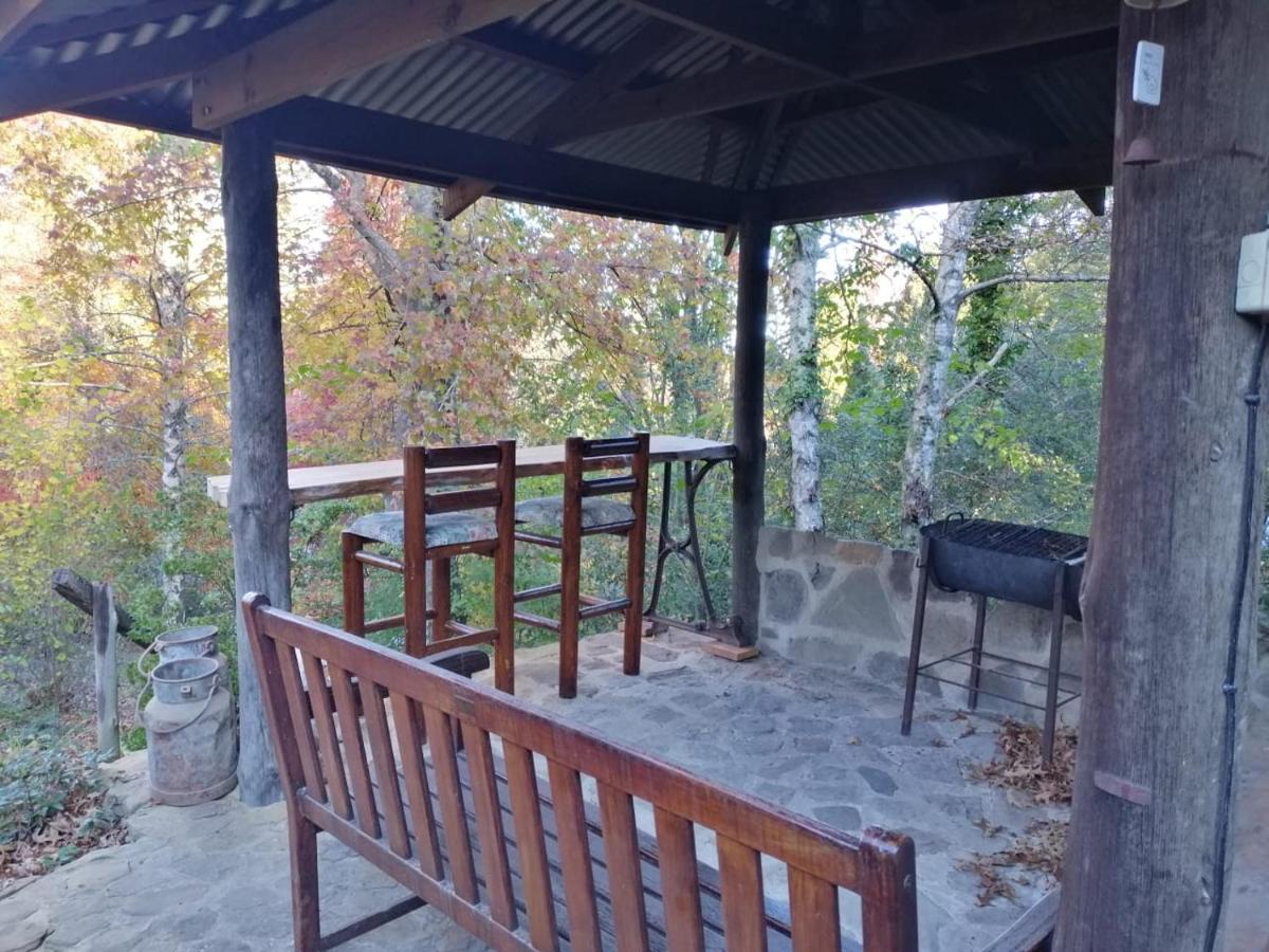 Maple Grove Villa Hogsback Luaran gambar