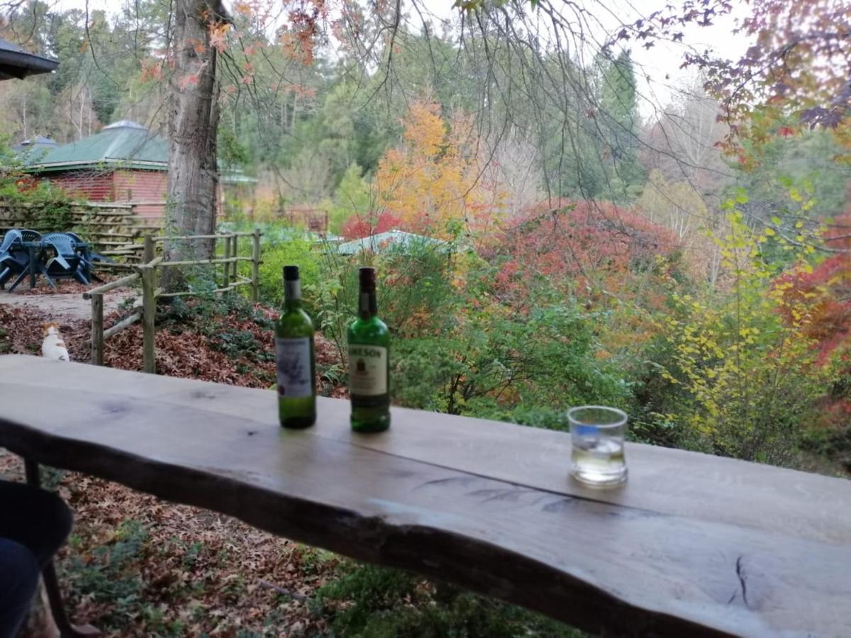 Maple Grove Villa Hogsback Luaran gambar