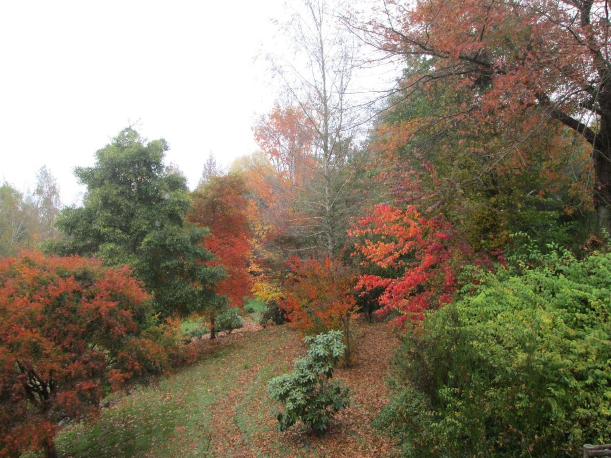 Maple Grove Villa Hogsback Luaran gambar
