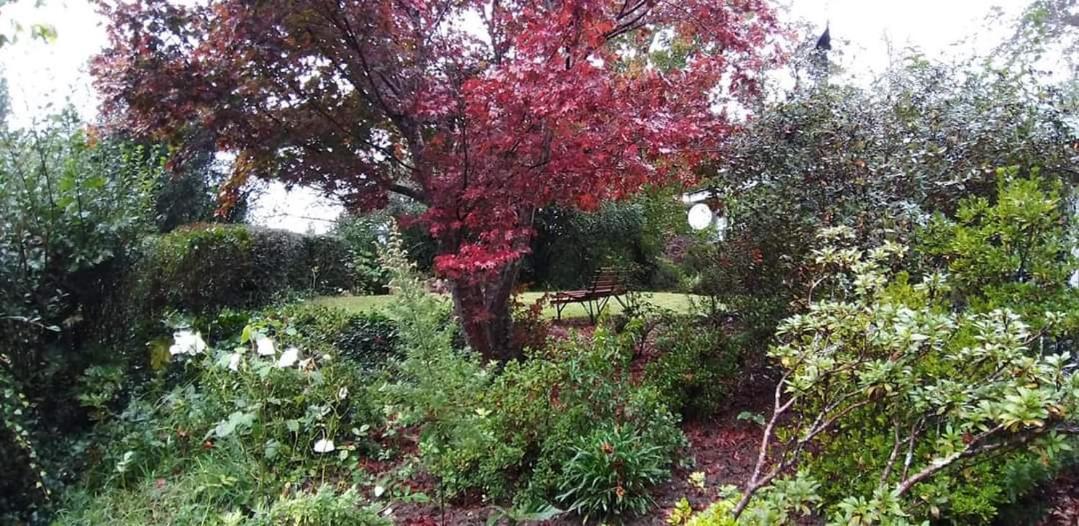 Maple Grove Villa Hogsback Luaran gambar