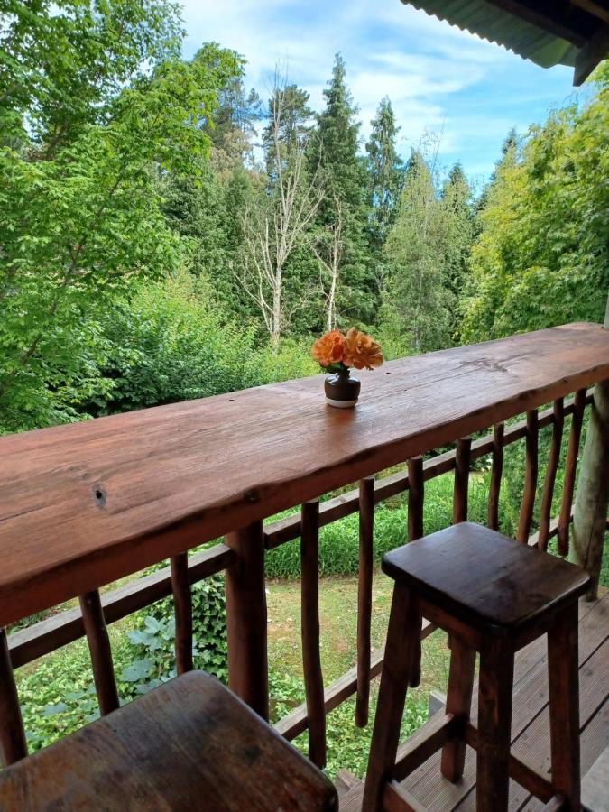 Maple Grove Villa Hogsback Luaran gambar