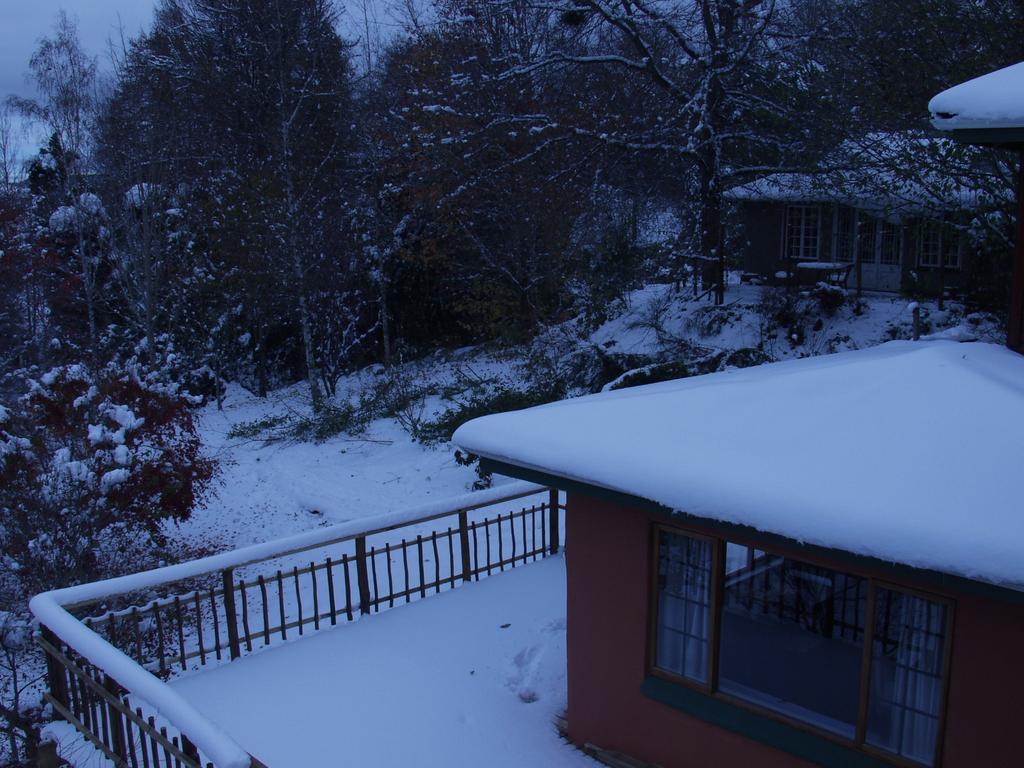 Maple Grove Villa Hogsback Bilik gambar
