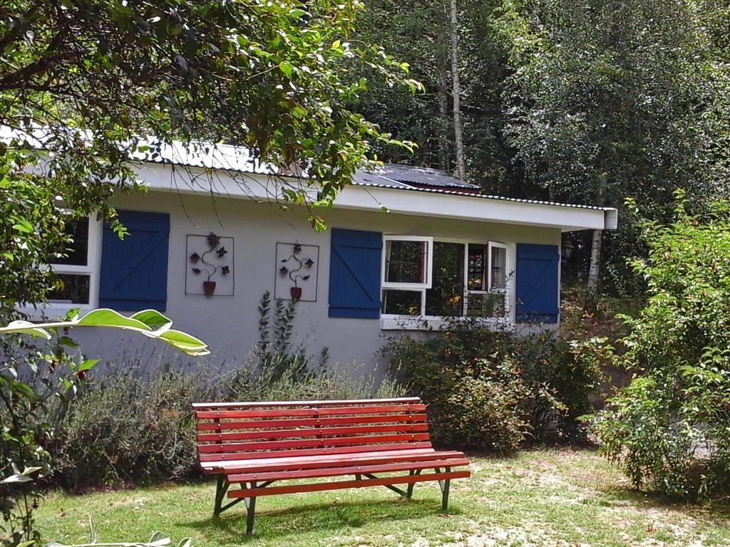 Maple Grove Villa Hogsback Luaran gambar