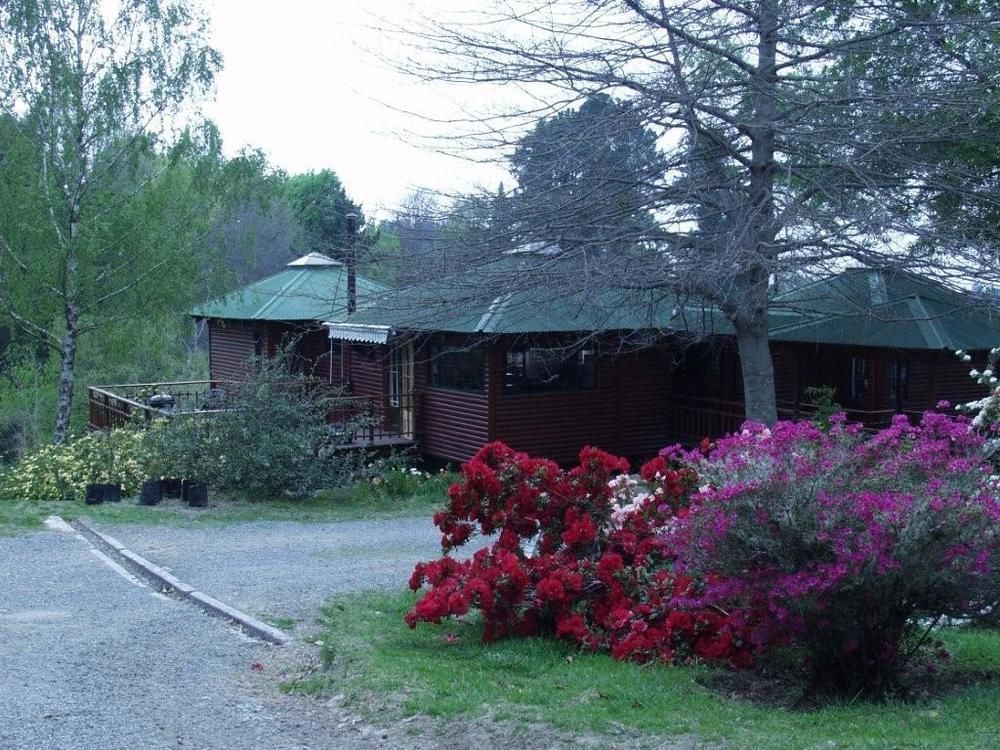 Maple Grove Villa Hogsback Luaran gambar