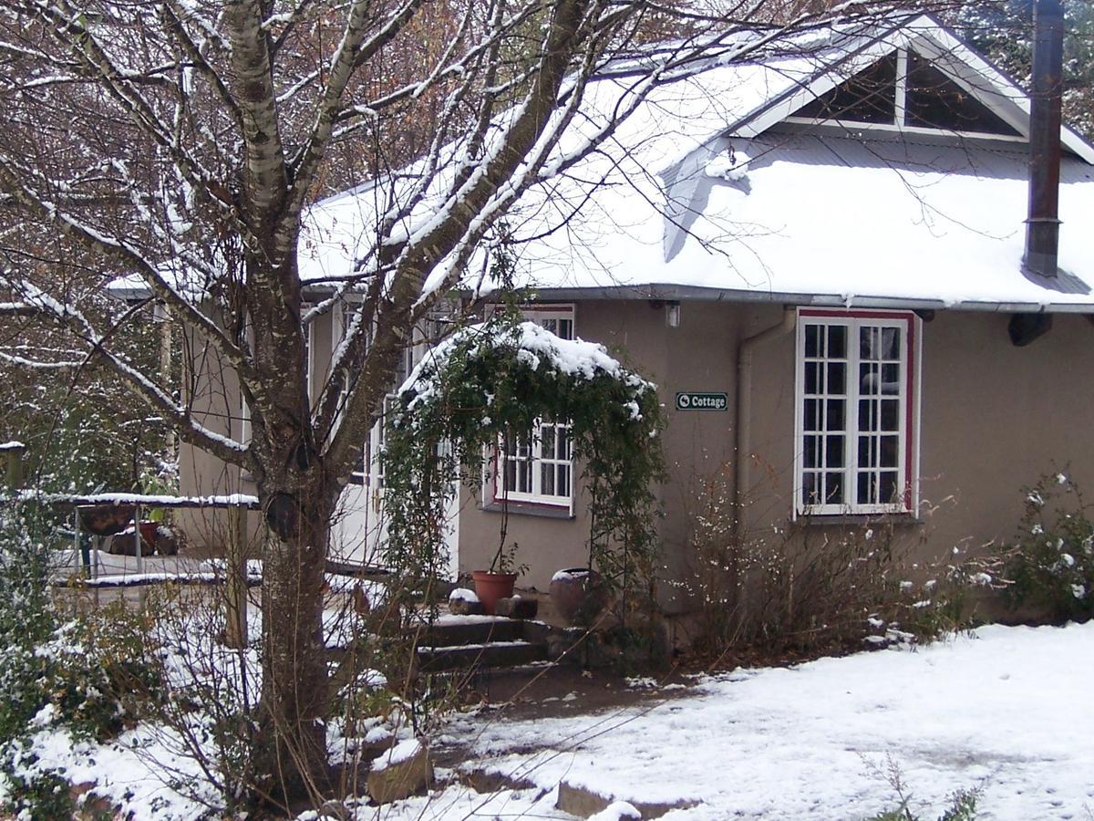 Maple Grove Villa Hogsback Luaran gambar