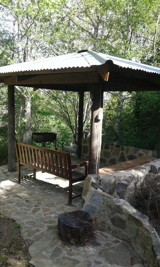 Maple Grove Villa Hogsback Luaran gambar