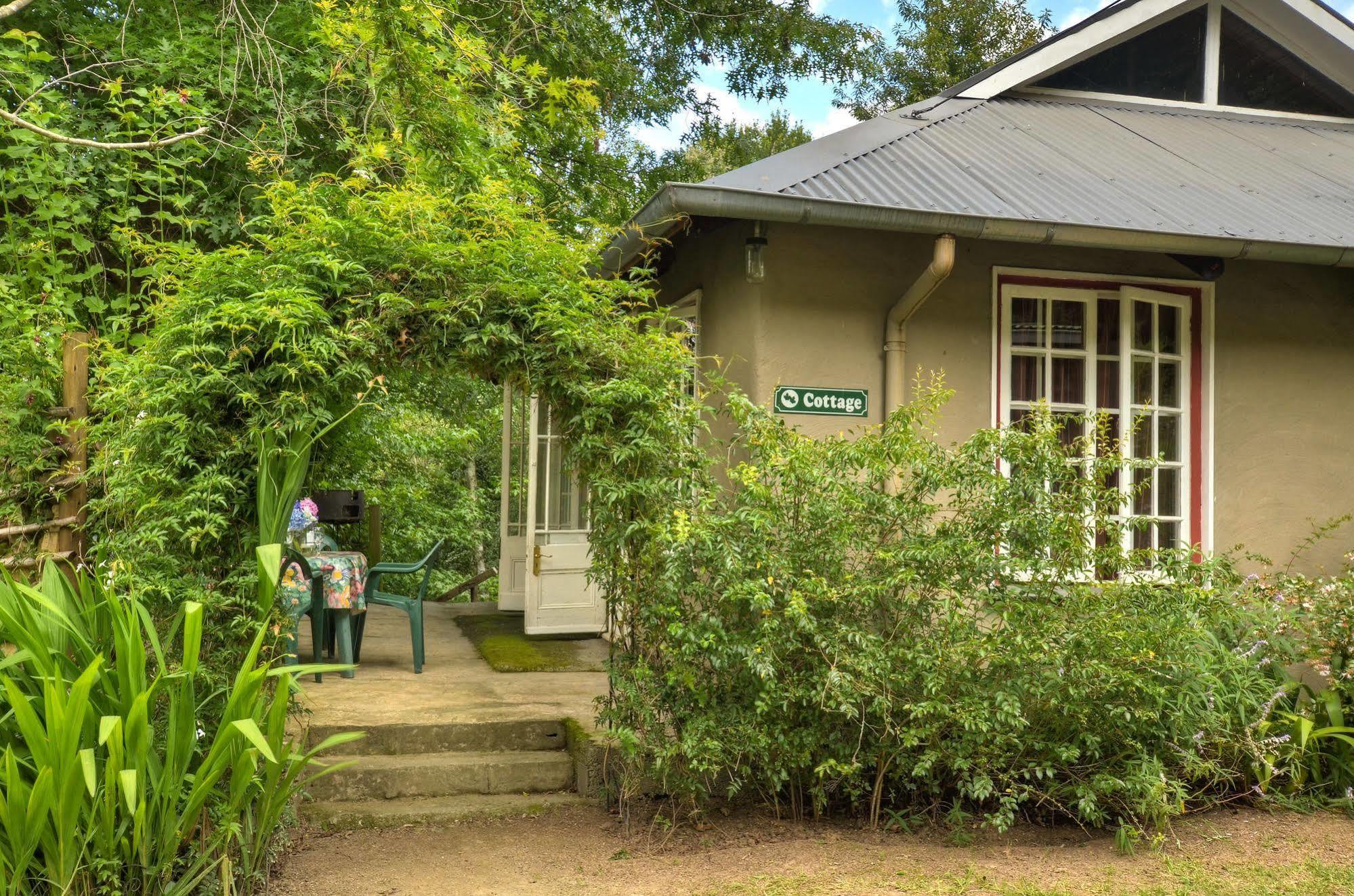 Maple Grove Villa Hogsback Luaran gambar