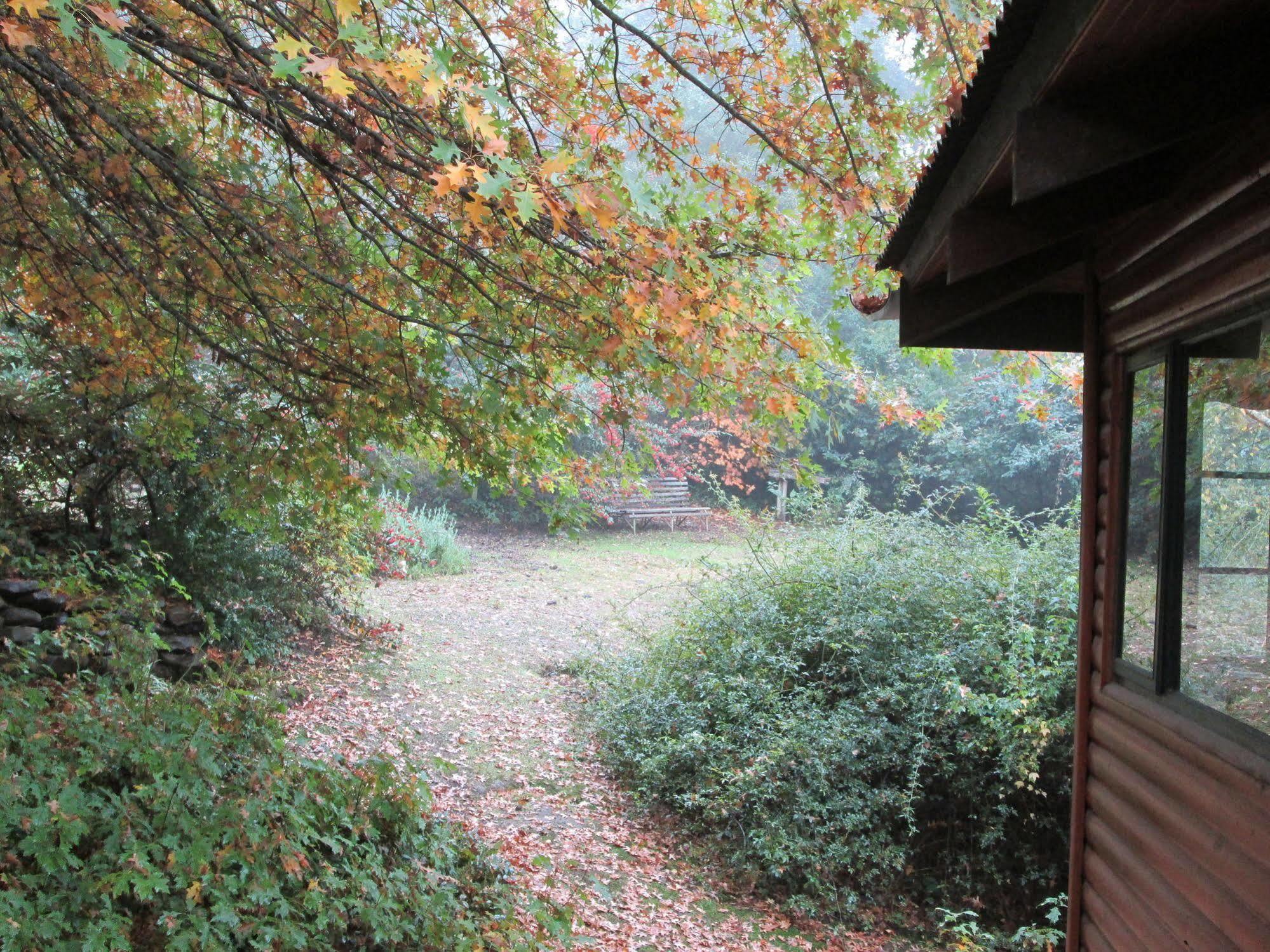 Maple Grove Villa Hogsback Luaran gambar
