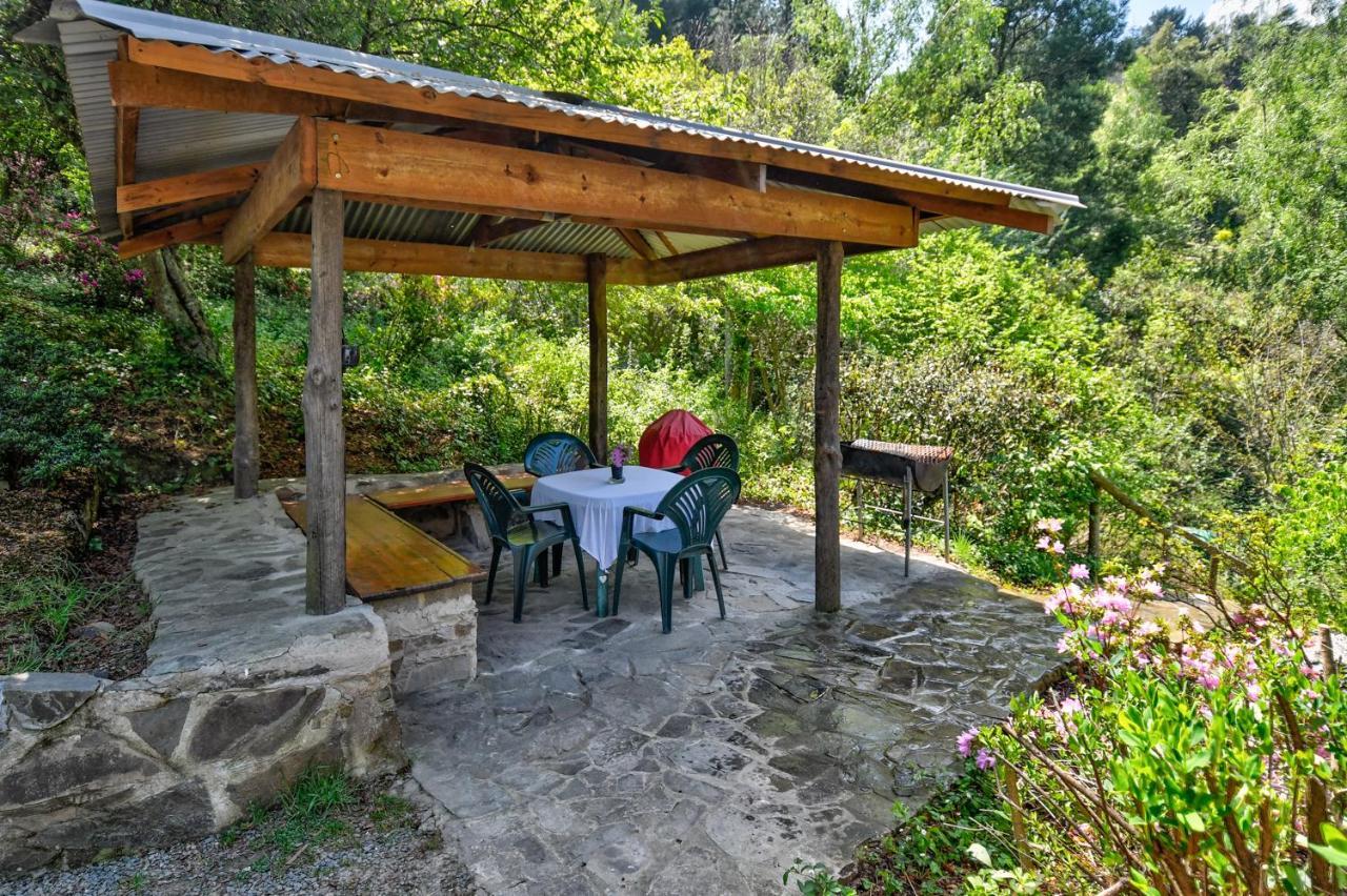 Maple Grove Villa Hogsback Luaran gambar
