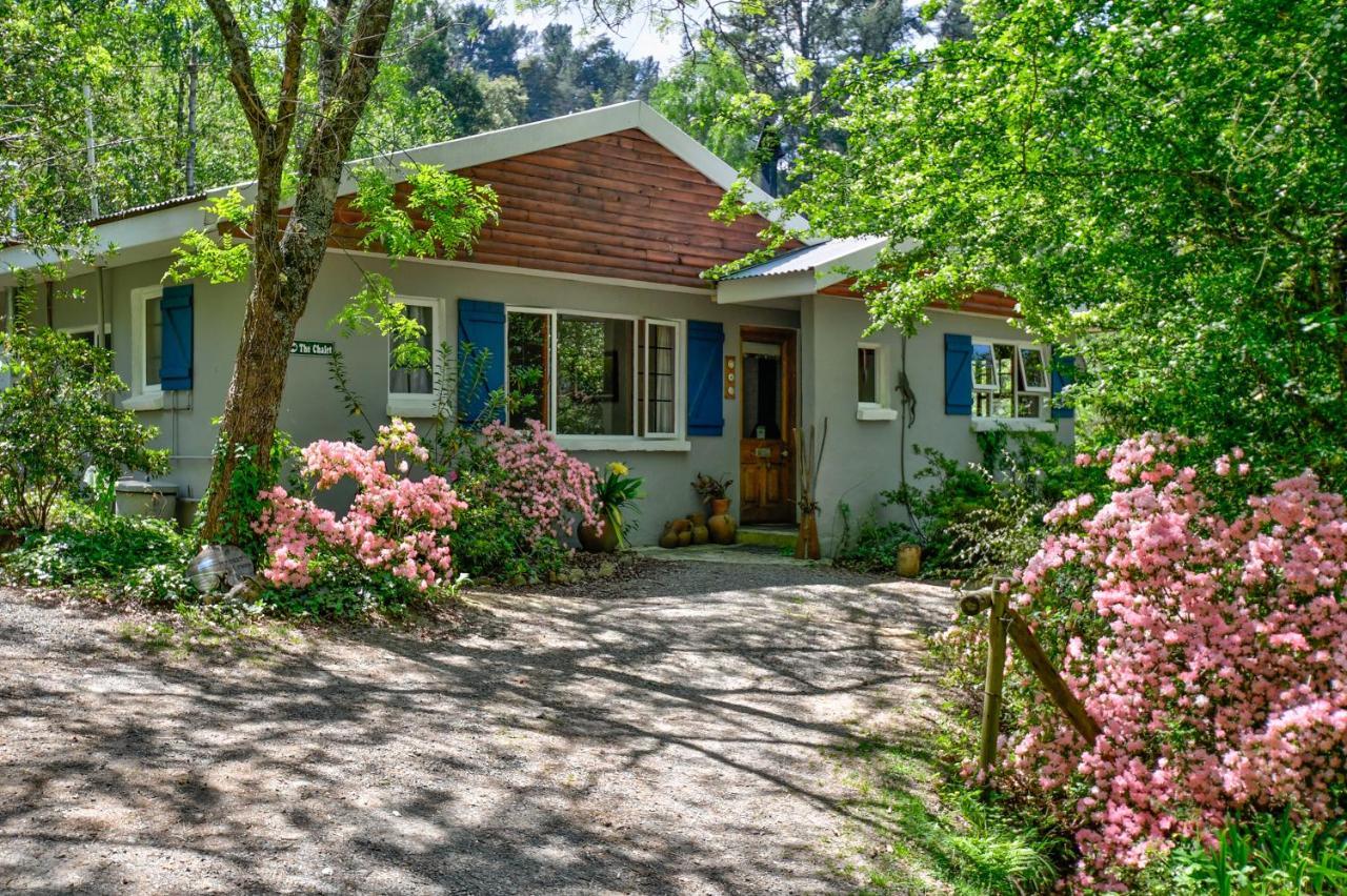 Maple Grove Villa Hogsback Luaran gambar