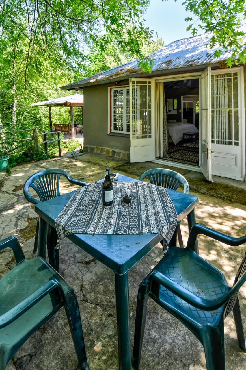 Maple Grove Villa Hogsback Luaran gambar