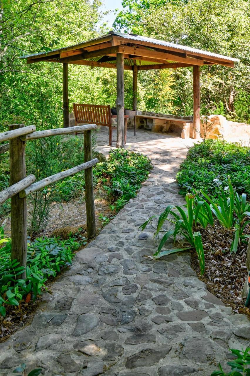 Maple Grove Villa Hogsback Luaran gambar