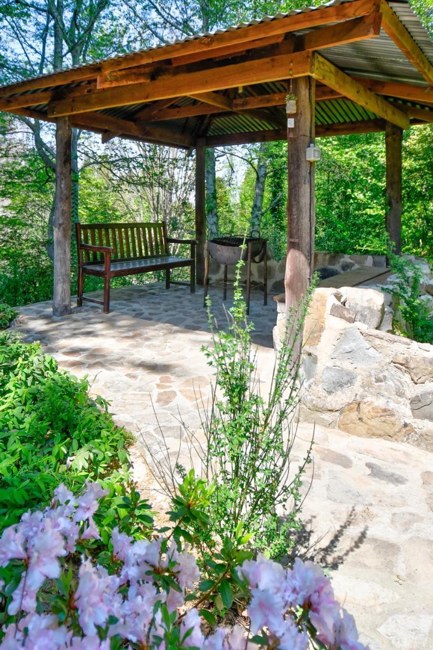 Maple Grove Villa Hogsback Luaran gambar